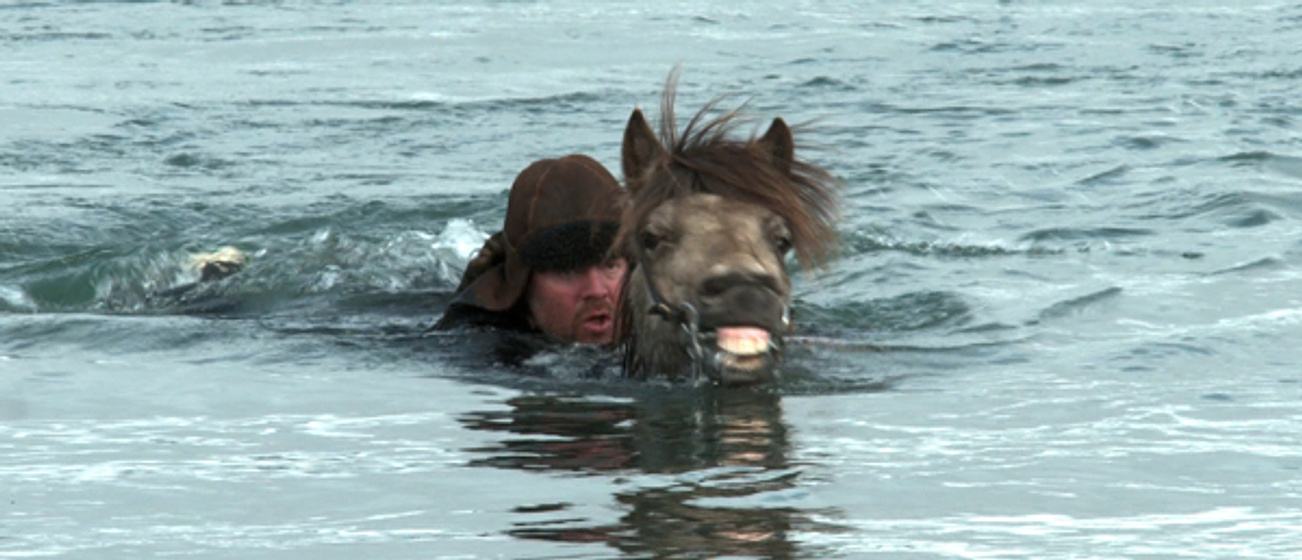 Imagen de De caballos y hombres