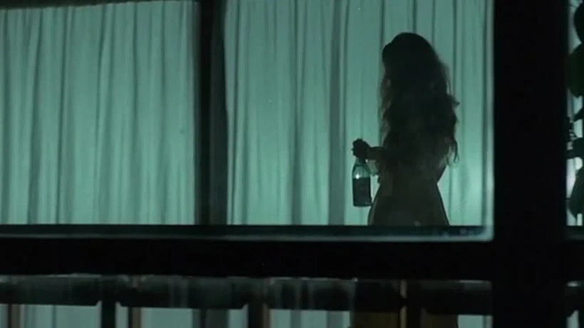 Imagen de La Tarántula del vientre negro