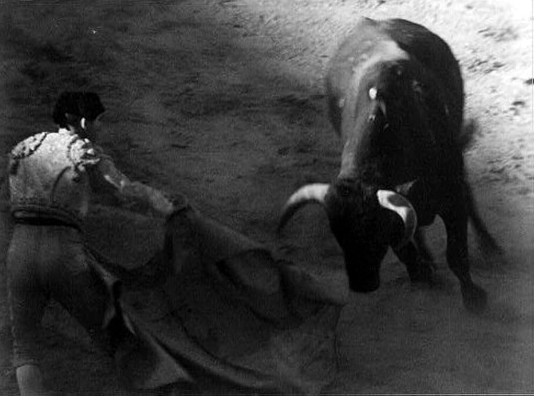 Imagen de Tierra Baja