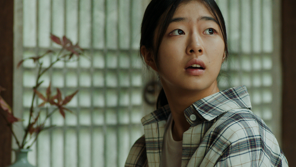 Imagen de ideal-and-weird-family