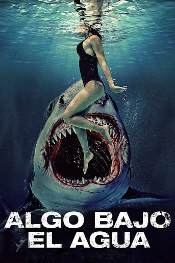 Poster de Algo bajo el Agua
