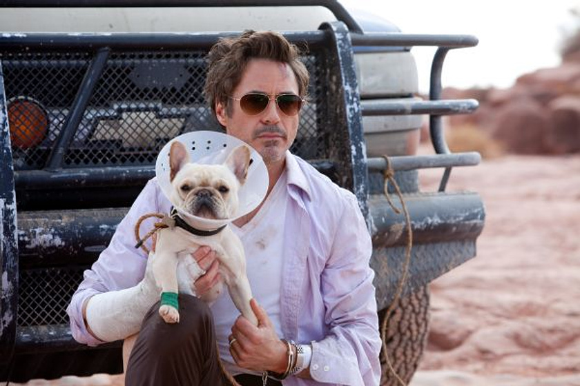 Robert Downey Jr. en Salidos de cuentas