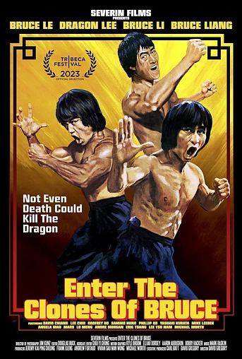 Poster de Enter the Clones of Bruce