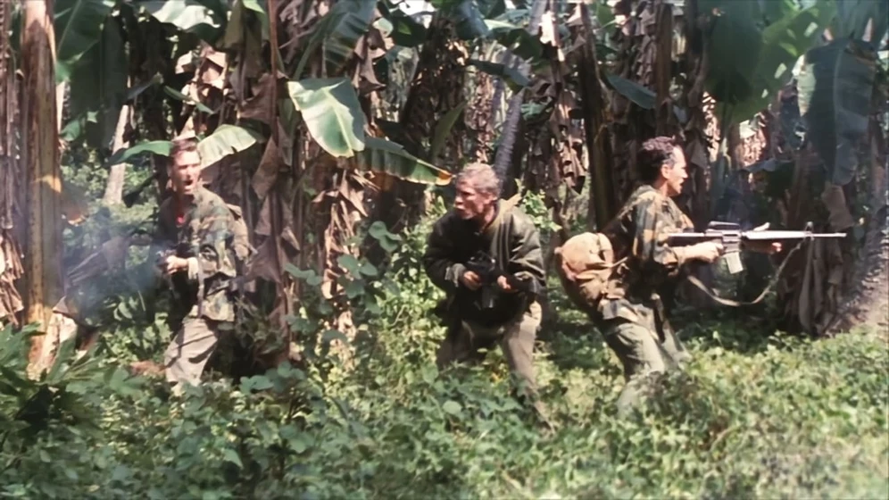 Imagen de operacion-nam
