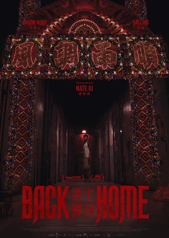 Poster de Back Home