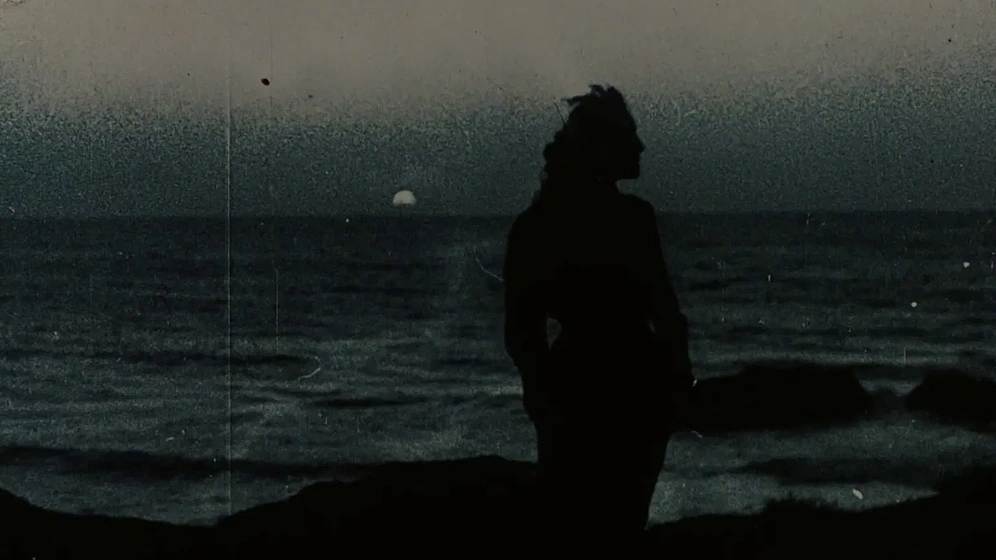 Imagen de flor-del-mal