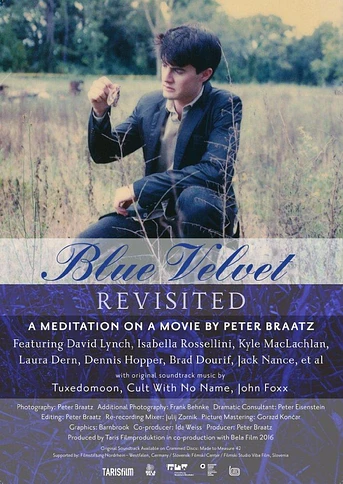 Poster de Blue Velvet Revisited