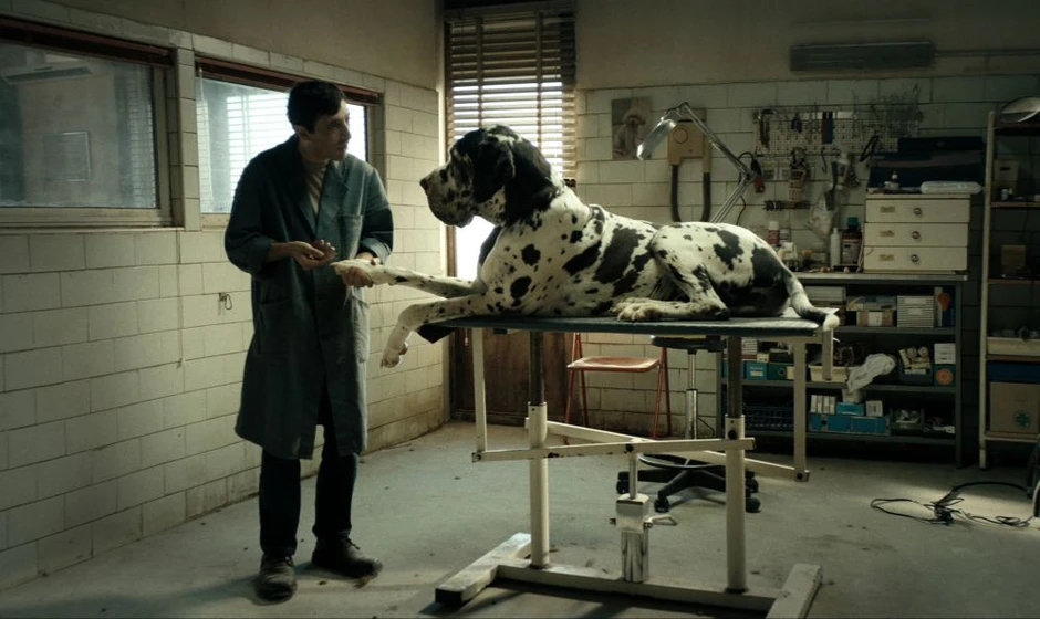 Marcello Fonte en dogman
