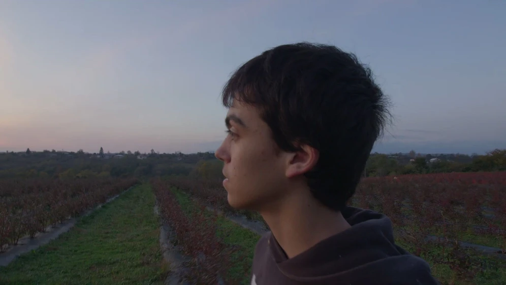 Imagen de blueberry-dreams