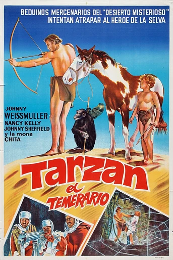 Poster de Tarzán en el desierto misterioso