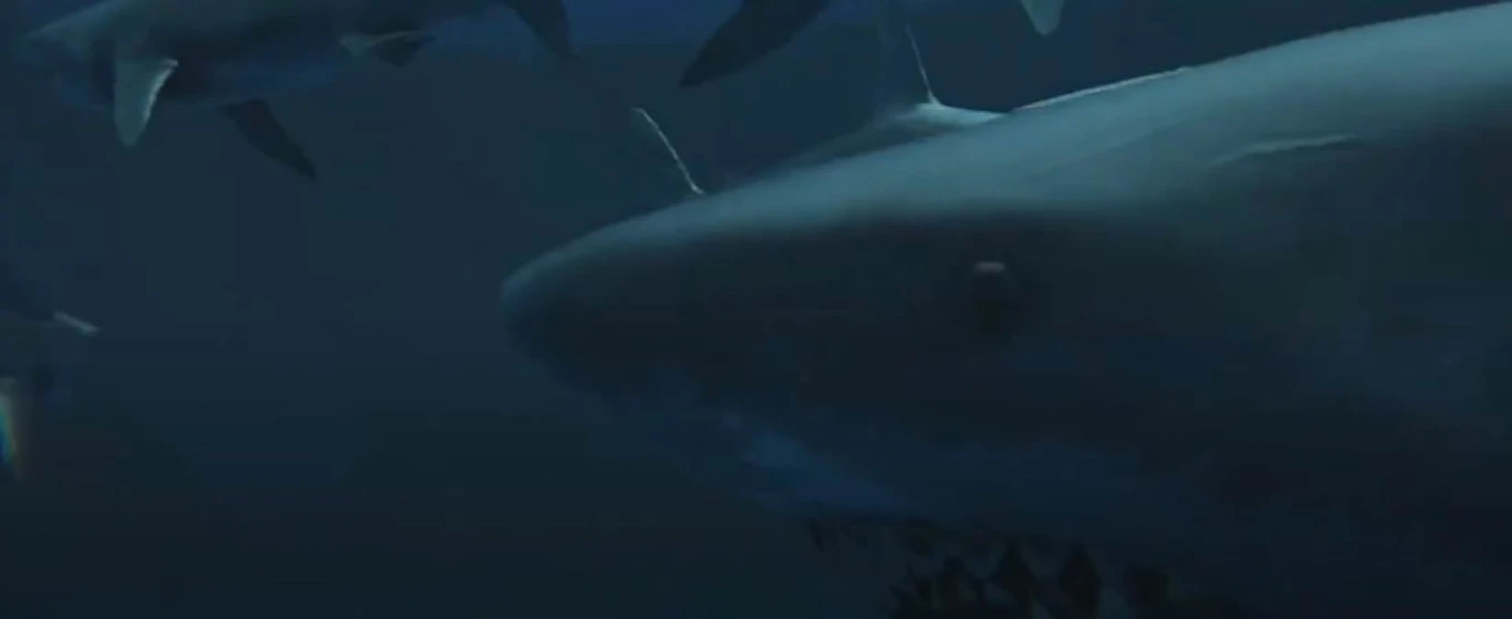 Imagen de virus-shark