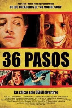 poster of movie 36 pasos
