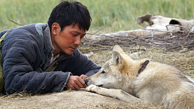 Imagen de El Último lobo (Wolf Totem)