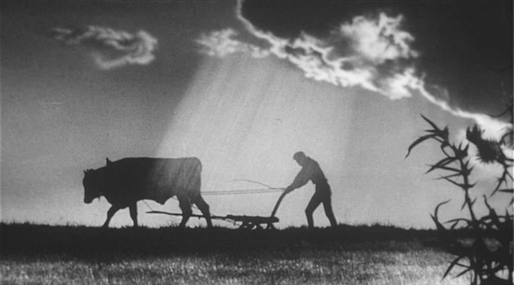 Imagen de cronica-de-un-bufon