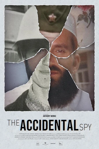 Poster de The Accidental Spy