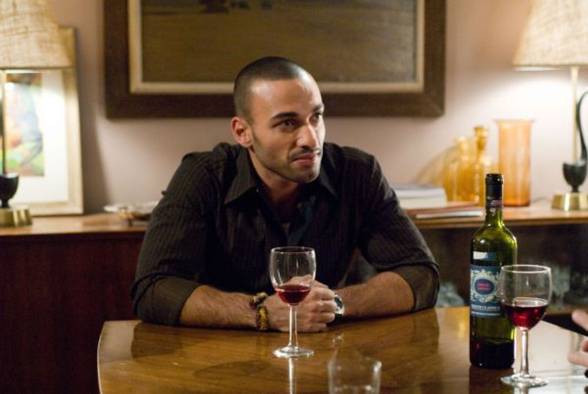 Haaz Sleiman en The Visitor