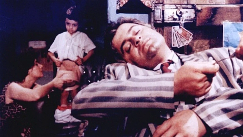 Imagen de estrellas-de-dia