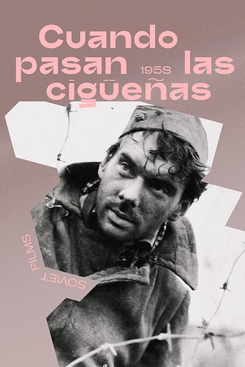 Poster de Cuando pasan las cigüeñas