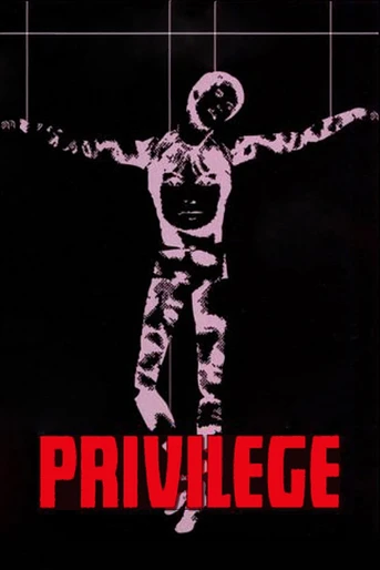 Poster de Privilegio