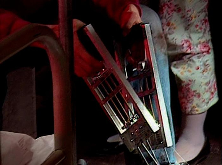 Imagen de guinea-pig-7-making-of-guinea-pig