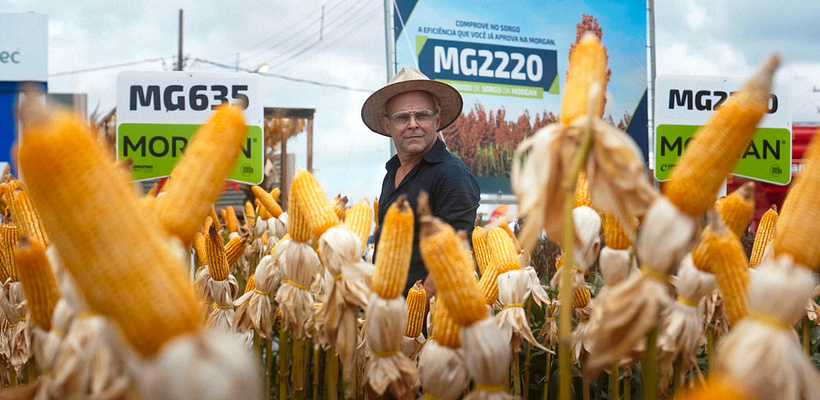 Imagen de Amazônia Oktoberfesta