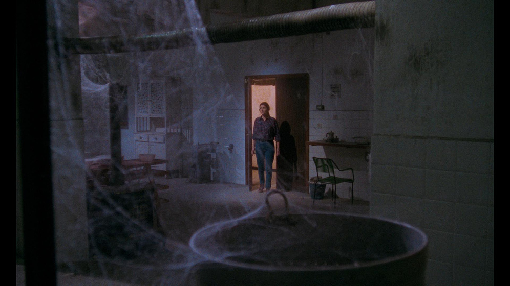 Imagen de The House of Lost Souls