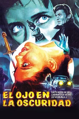 poster of movie El ojo en la oscuridad