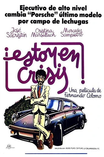 Poster de Estoy en Crisis