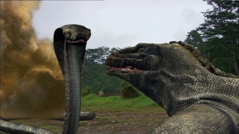 Imagen de Komodo vs. Cobra