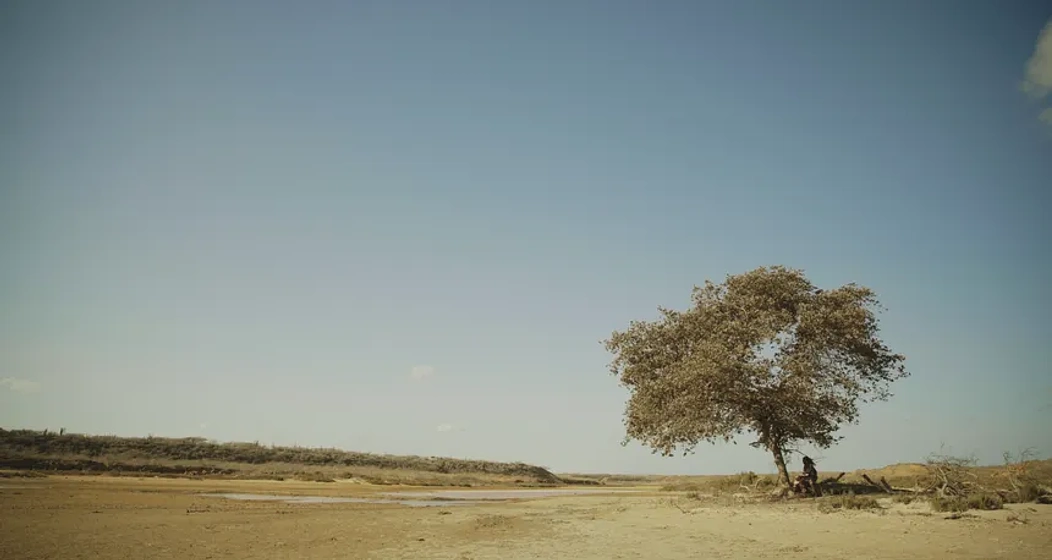 Imagen de alma-del-desierto