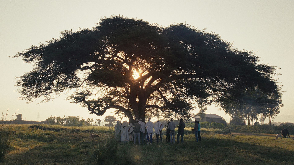 Imagen de Made in Ethiopia