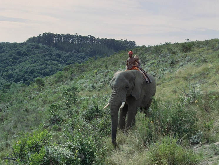 Imagen de Viaje mágico a África