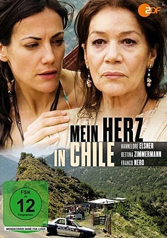 Poster de La Herencia de los Hansen