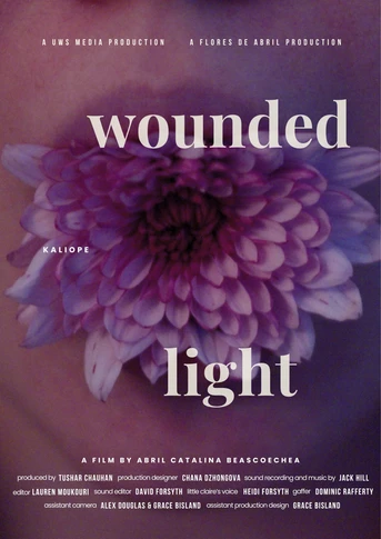 Poster de Wounded Light