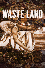 poster of movie Waste Land