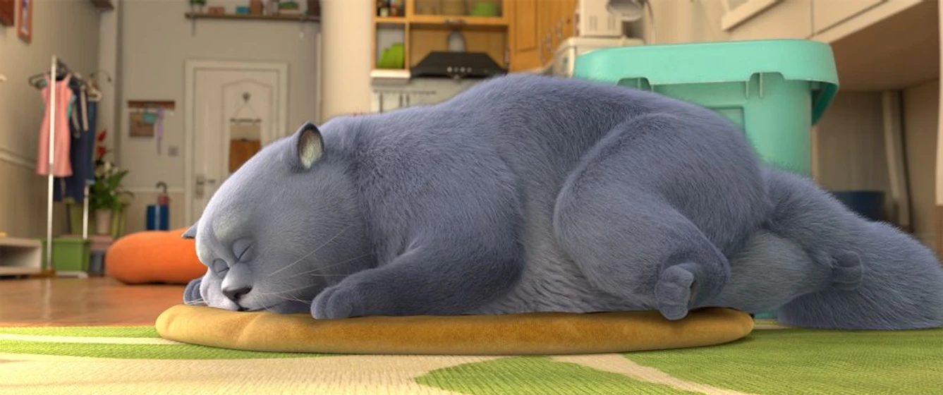Imagen de gatos
