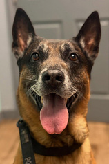 picture of actor Bragi