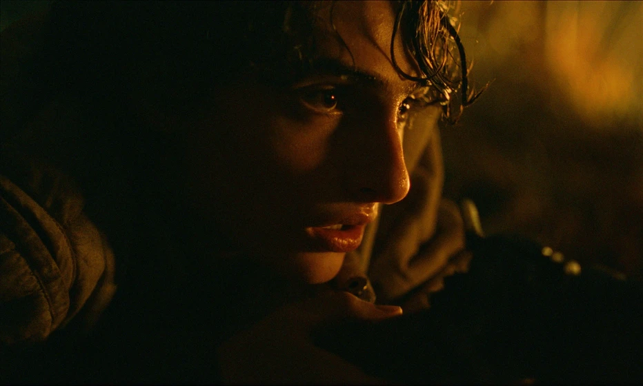 Finn Wolfhard en la-leyenda-de-ochi