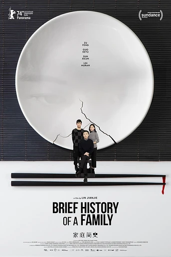 Poster de Brief History of a Family