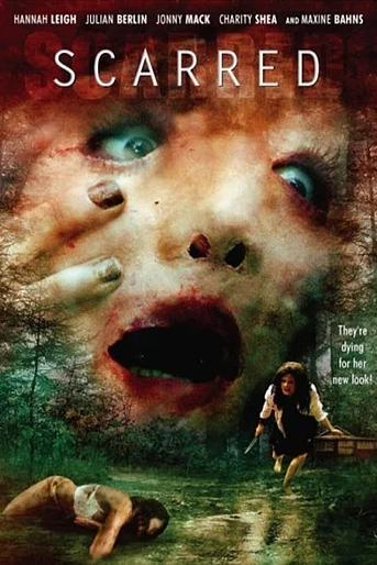 Poster de Scarred