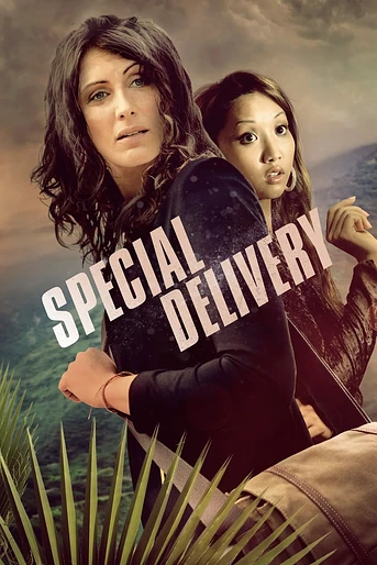 Poster de Entrega Especial