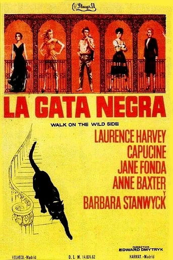Poster de La Gata Negra