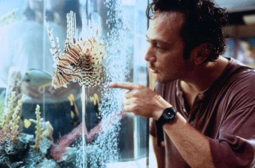 Rob Schneider en gigolo