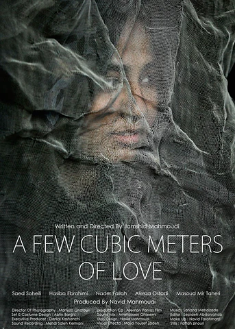 Poster de A few cubic meters of love