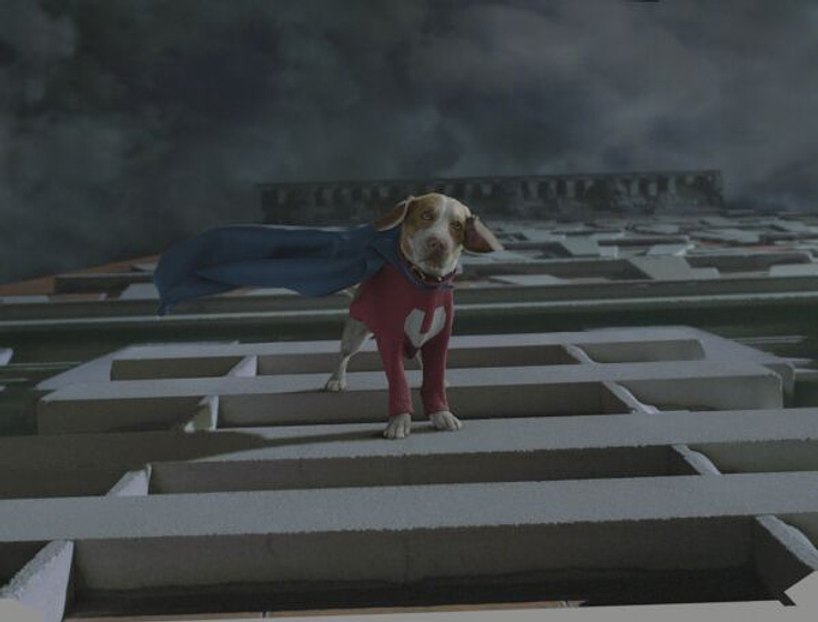Imagen de Superdog
