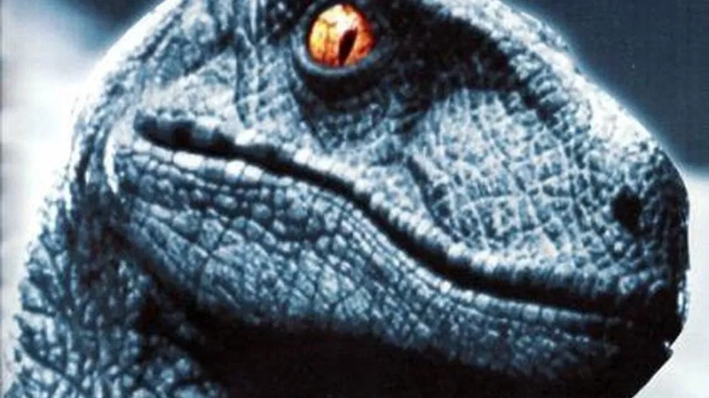 Imagen de raptor
