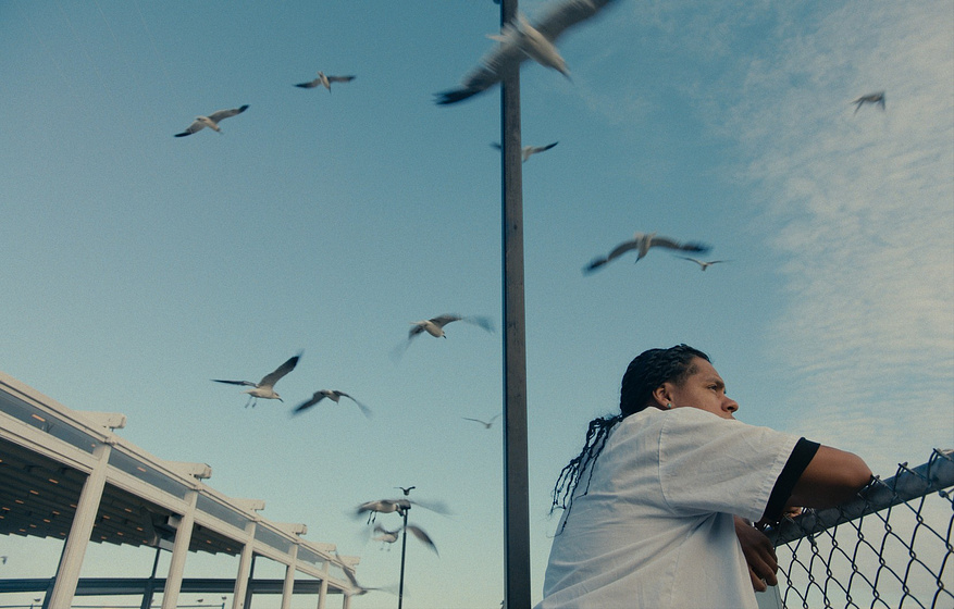 Juan Collado en Mad Bills to Pay (or Destiny, dile que no soy malo)