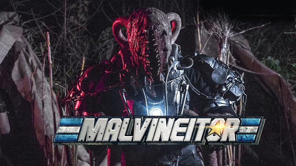 Imagen de Malvineitor