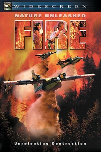 Poster de Fire