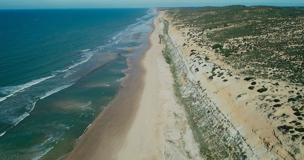 Imagen de Doñana. Donde el Agua es Sagrada